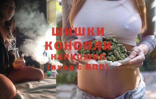 ГАЛЛЮЦИНОГЕННЫЕ ГРИБЫ Алзамай