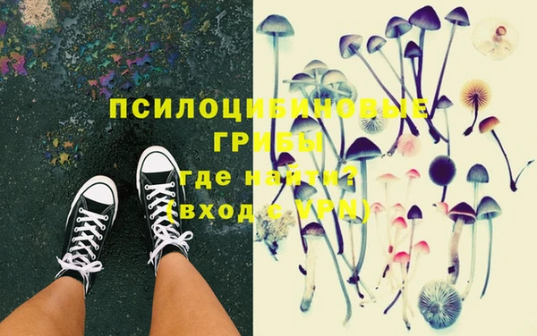 ГАЛЛЮЦИНОГЕННЫЕ ГРИБЫ Алзамай