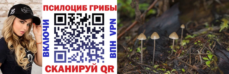 Псилоцибиновые грибы Magic Shrooms  Симферополь 